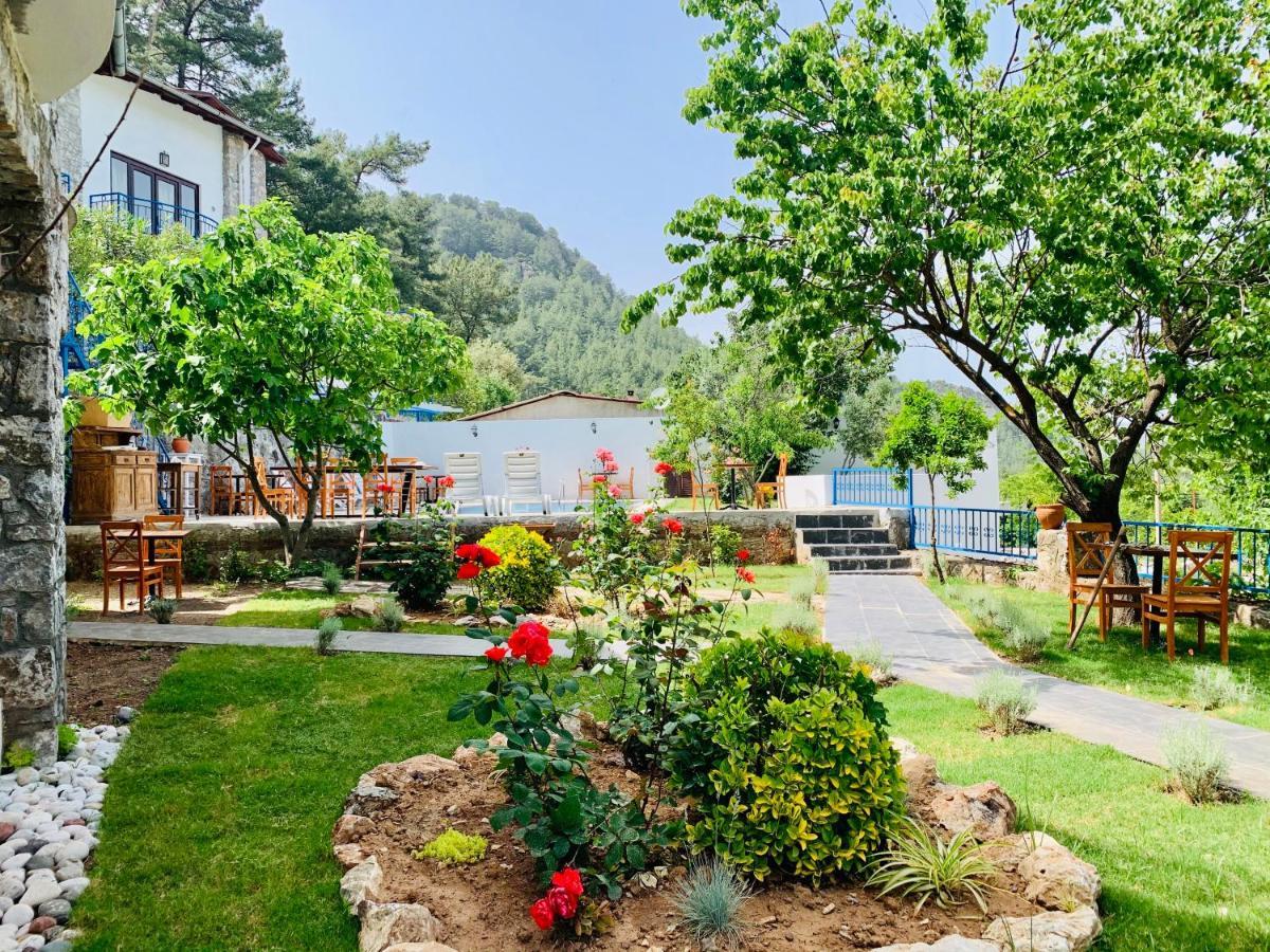 Alp Inn Villas 图兰克 外观 照片