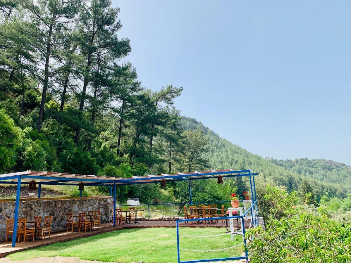 Alp Inn Villas 图兰克 外观 照片